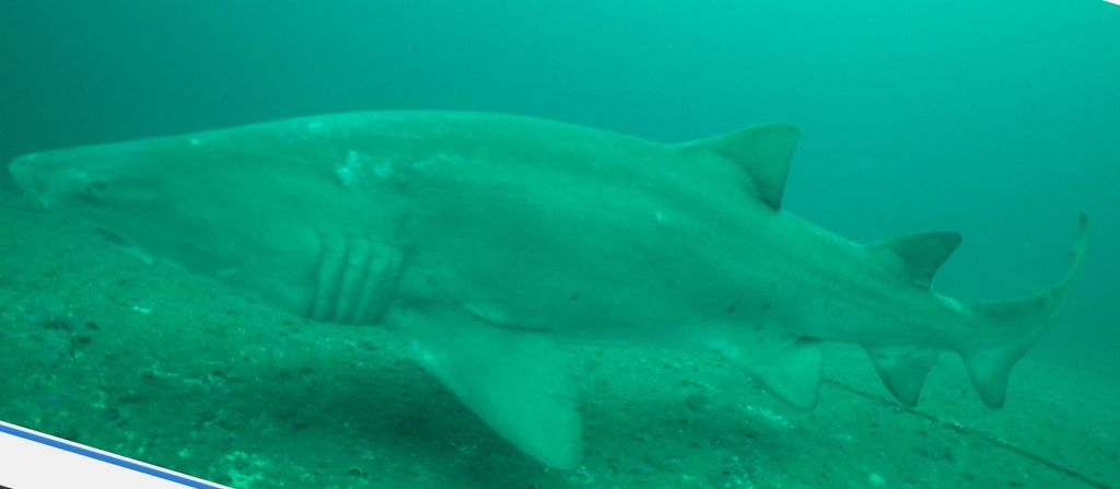 1a83d014-6aea-4f89-9c7e-deb23706314e