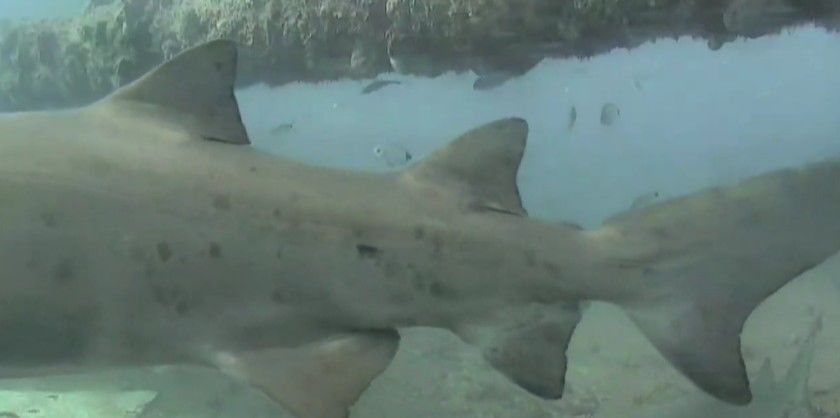 af39fd4e-8baf-4c83-bafb-0ba2cec57874