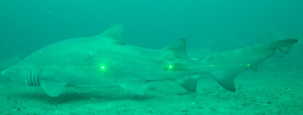 d54685b7-f6f2-4971-9fa5-840b5a0f6827