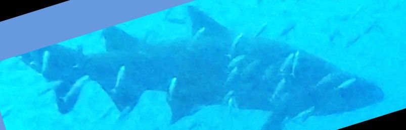 00b83aad-9a86-40cc-bd12-cb9ffa1059f3