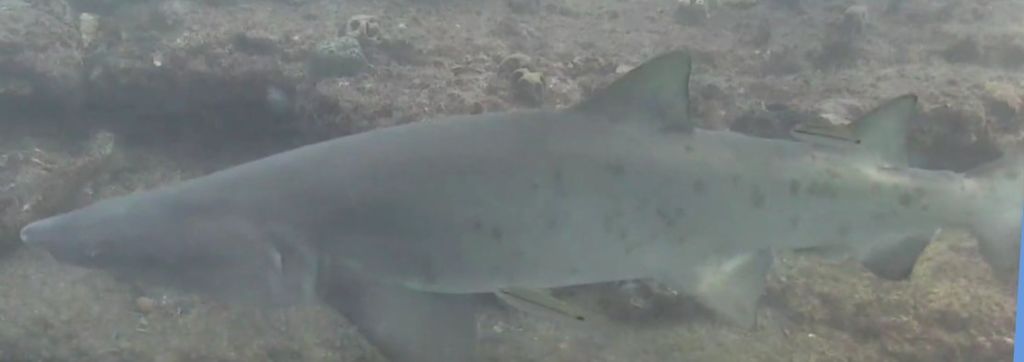 2045886b-8e0f-480c-9908-66fd17db420d