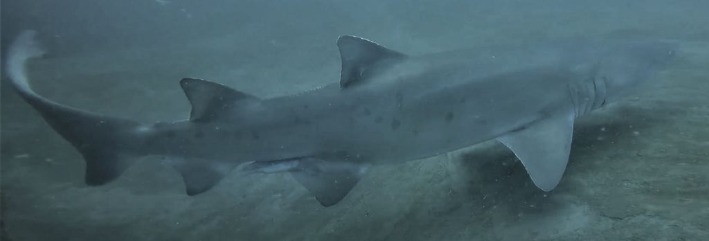 50018cbb-ab40-4205-941d-5559f6145b62