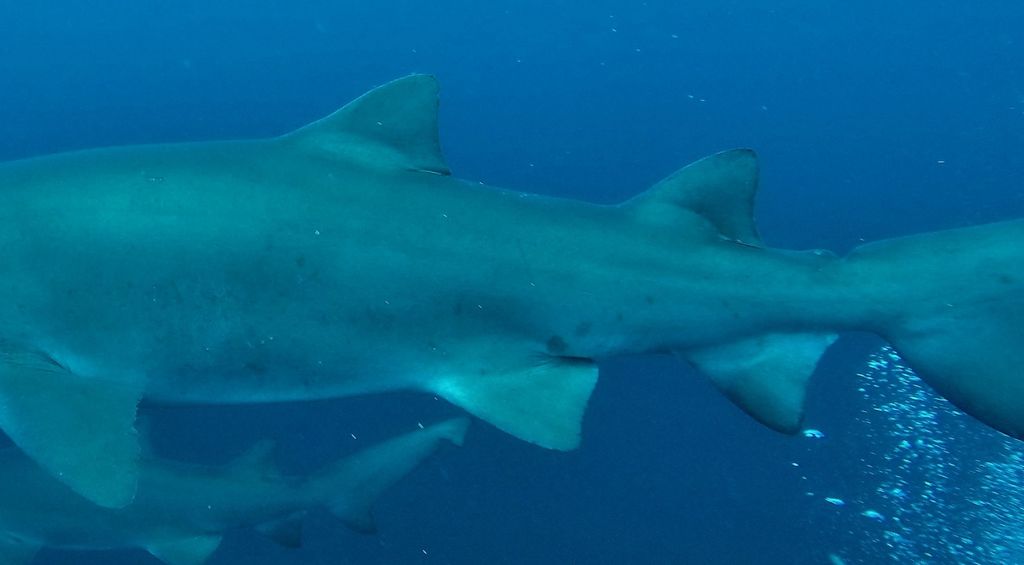 a61b92d2-2349-4d78-8d39-1e8fb416f5d9