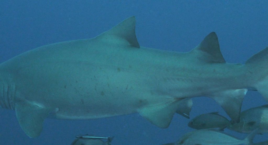 be5e742b-88d0-4a44-84f5-7d7a5c8f29e2