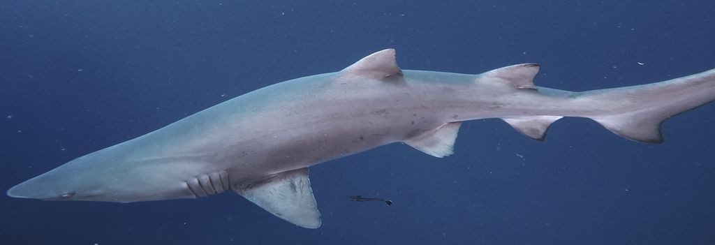 ecab5d0b-13cf-462c-a267-775226e99112