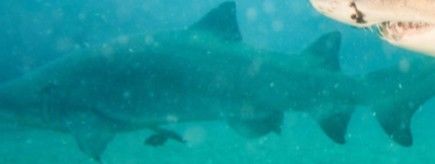 ad049566-cb33-4379-803a-1ede391e30ca