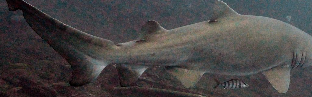 48ef9931-442a-458a-a1b1-b7b0037f44e4