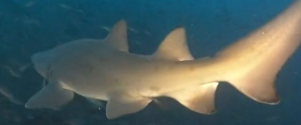 d9bdad66-ec60-4d02-9155-bb94f9c7d8f7