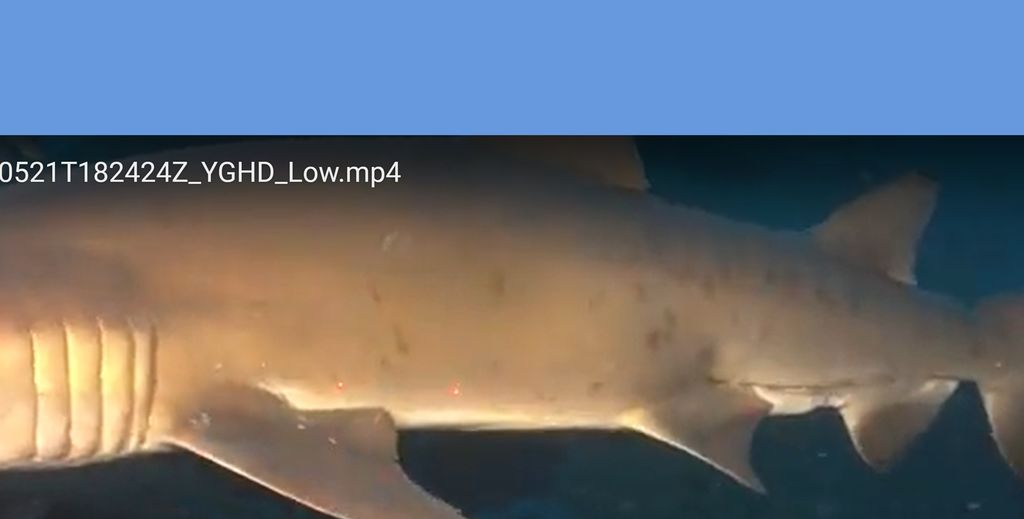 45ef10b4-9710-4d35-b90b-5b9f97d5f966