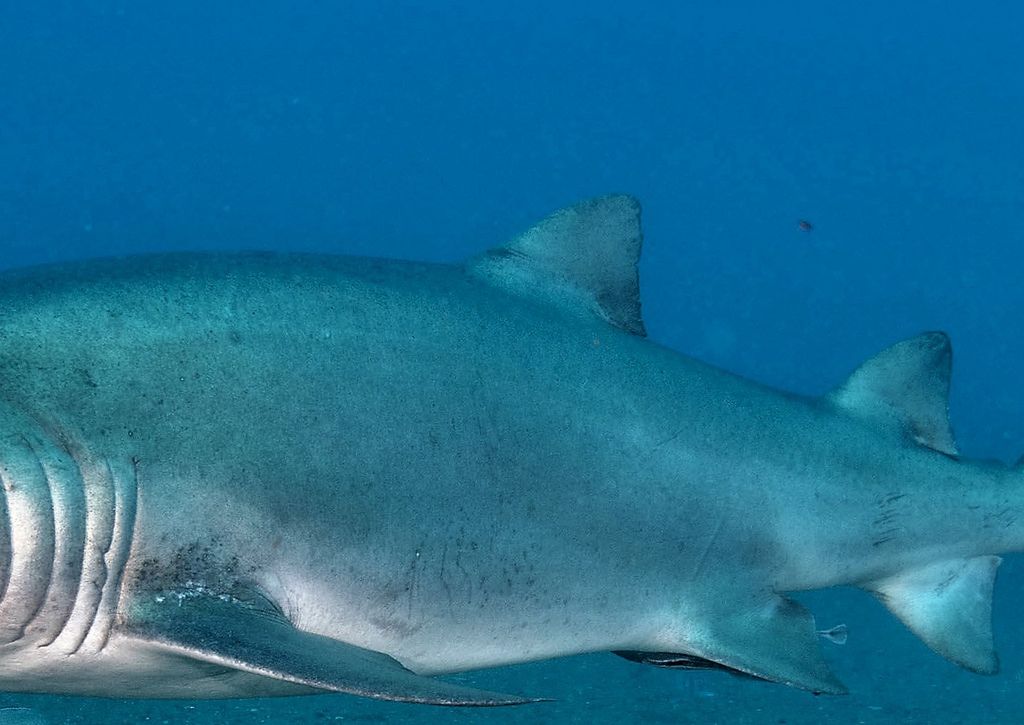 08bc5bcc-ffac-4c66-941e-1db1082d9ae5