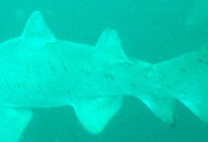 b9e9193a-b1ed-4197-8f65-b843097cb045