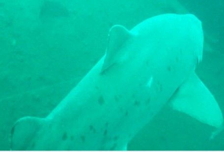 b9e9193a-b1ed-4197-8f65-b843097cb045