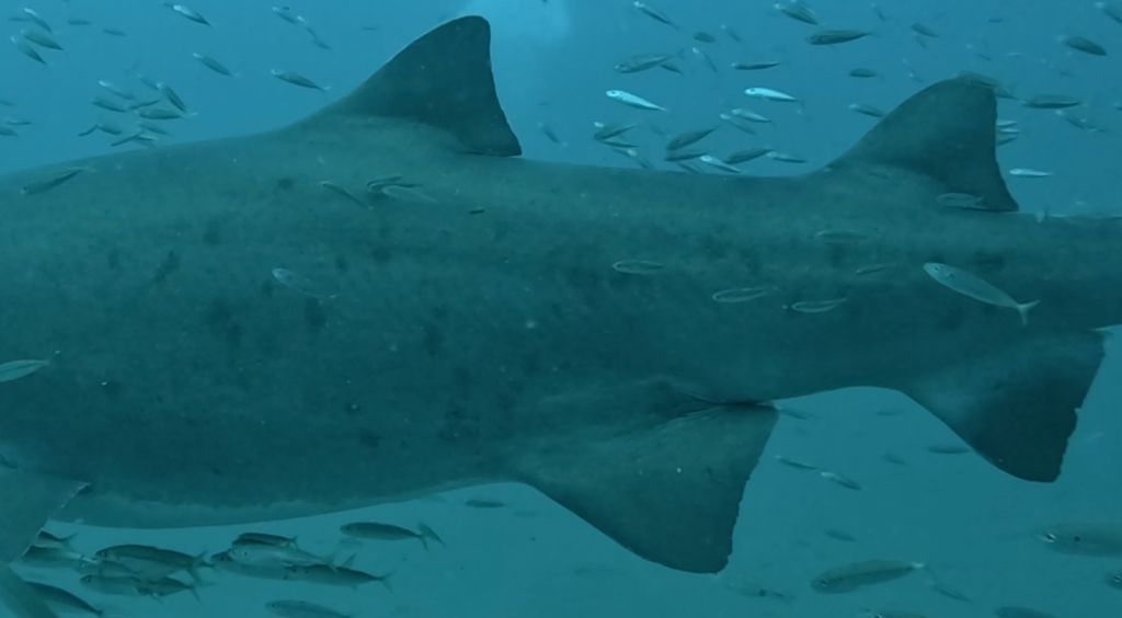 b17c7f61-cd57-4dc4-a773-303e8afbcd99