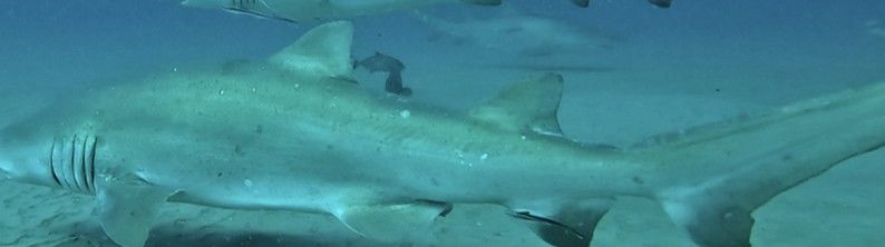 b6c52719-043e-450f-bc2c-4a9b5f486b80