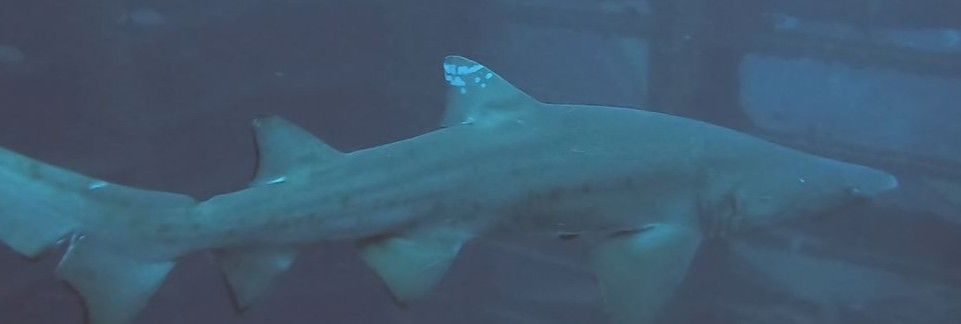 2f016af6-bd9a-4034-972f-c2b8f0342dbd