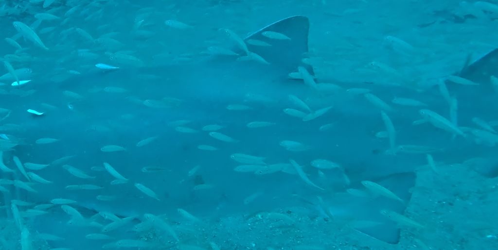 ef75976d-ed84-434f-b0cc-f979b6af1e4a