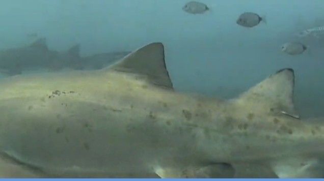 30ad64a9-93aa-4bd2-a222-950de0180b97