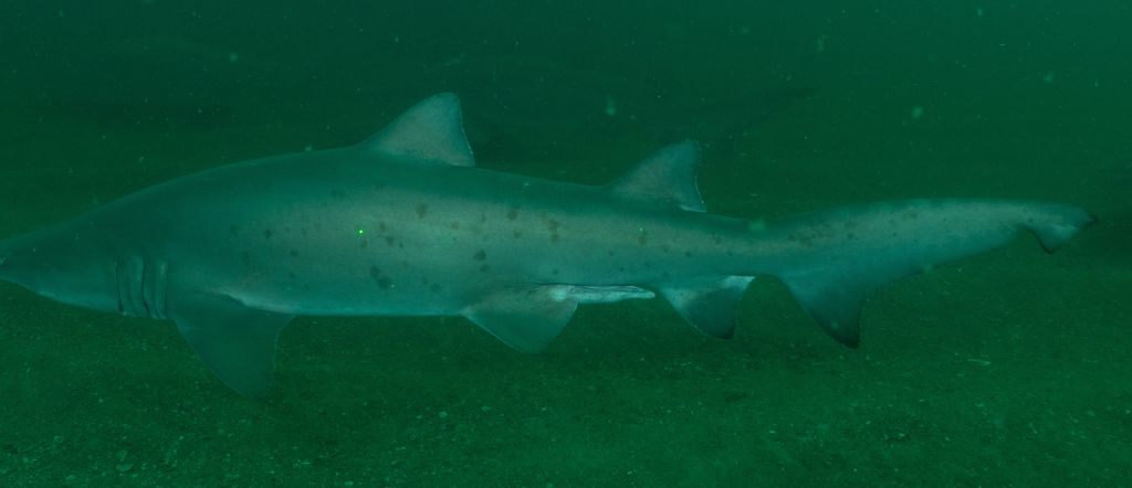 742da2b2-5f11-4c54-9be2-8c2e0553f5a2