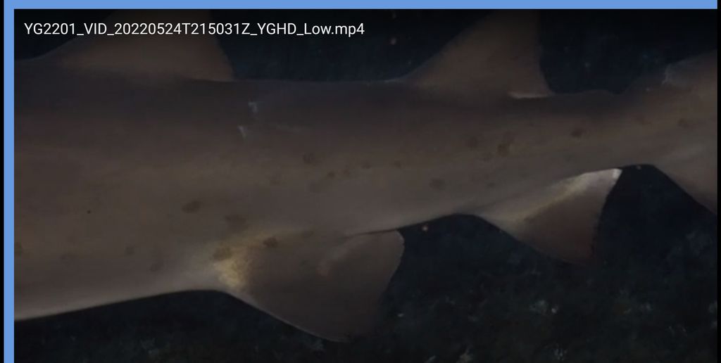 66505cc1-1059-4ab7-bc22-79472822ad00