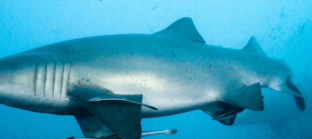 a466c8e2-cde1-4d05-81de-9676f6cf928f