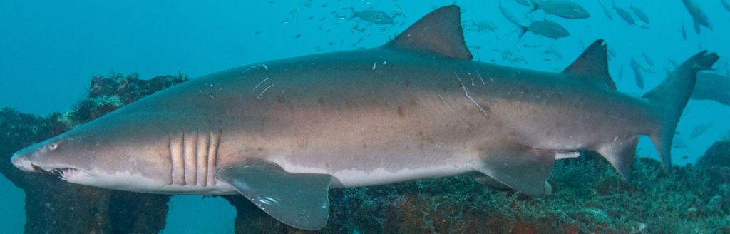 35fe88bb-29cf-4fe0-b93d-85c224b6a3e6