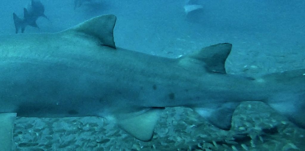 5a373b26-9dd9-428c-a69a-5142df9b0e97