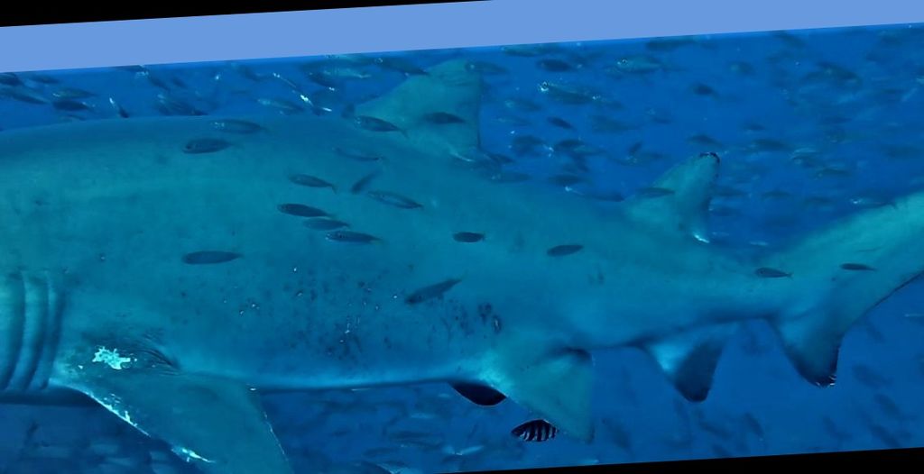 6e388ded-8e8f-43ed-9b3d-02d362bcae90