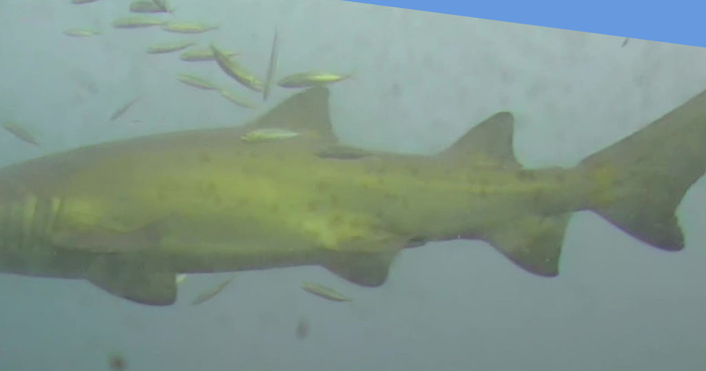 359c7b44-1b09-4174-8feb-e6b2cfc785a8