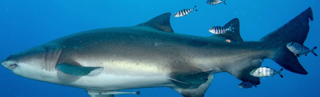 143451b2-6854-478e-a12e-69712bed704c