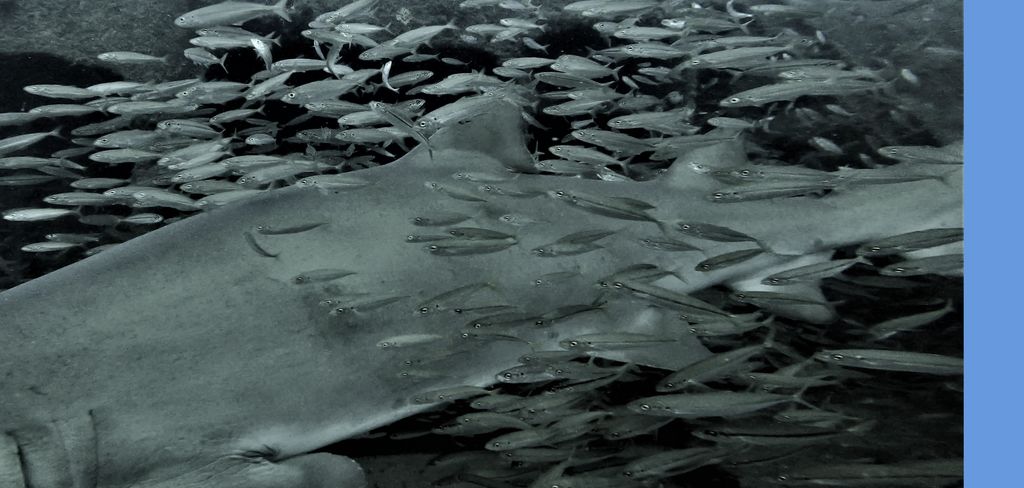 bd8e332c-0c13-4fc5-b4ee-547d5781b9fc