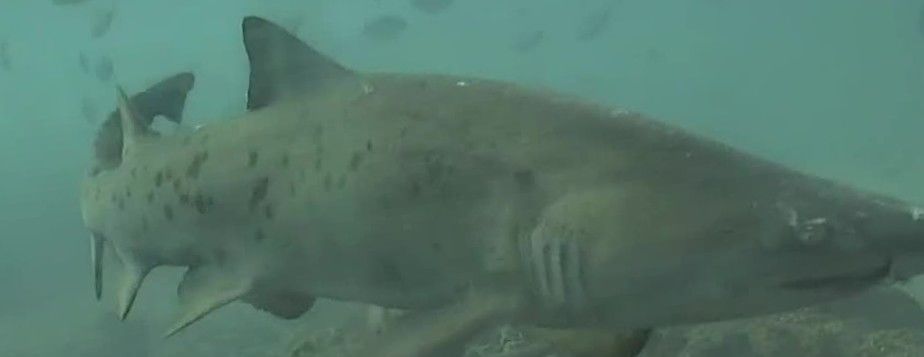 09a3f4a9-93d1-4ea2-88d9-572ad9ebf36d