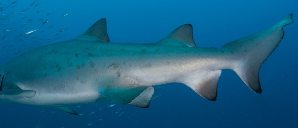 698c39bb-aa7e-4d8e-880c-f7986fce9c45