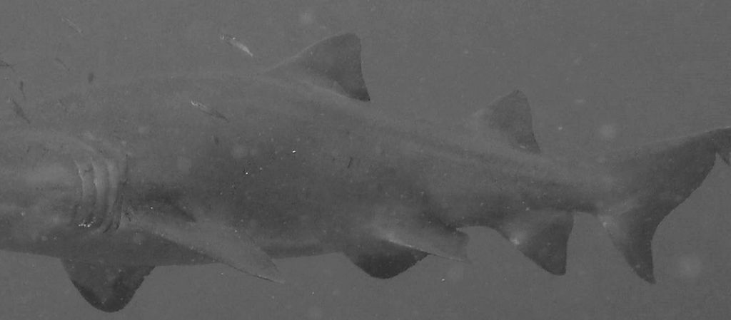 fb17deef-1232-49c9-87ce-54699ccc38e3