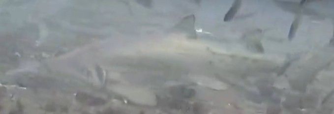 afcc3a48-147a-45cd-9749-c2cb17e21000