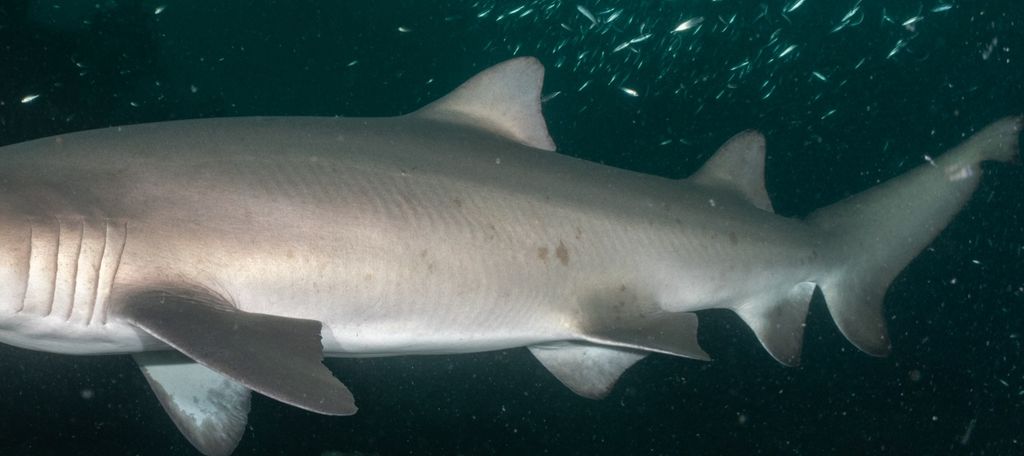 b6c07216-6e76-4e01-960b-7f97a496061d