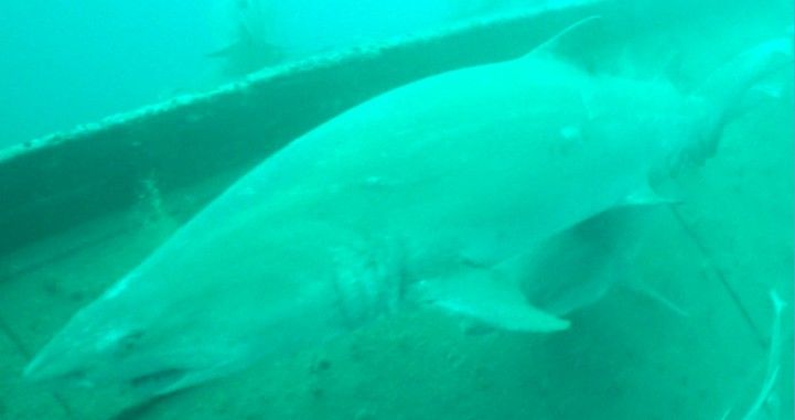 0c5b9698-6c4a-4faf-b5a5-4a4305d82da4