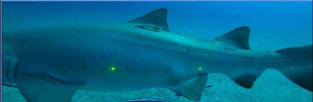 d3d466df-68c6-4b20-8ebc-85cac3817081