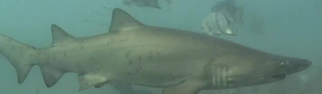 2da79c4a-0840-4915-a245-77d44484dc50