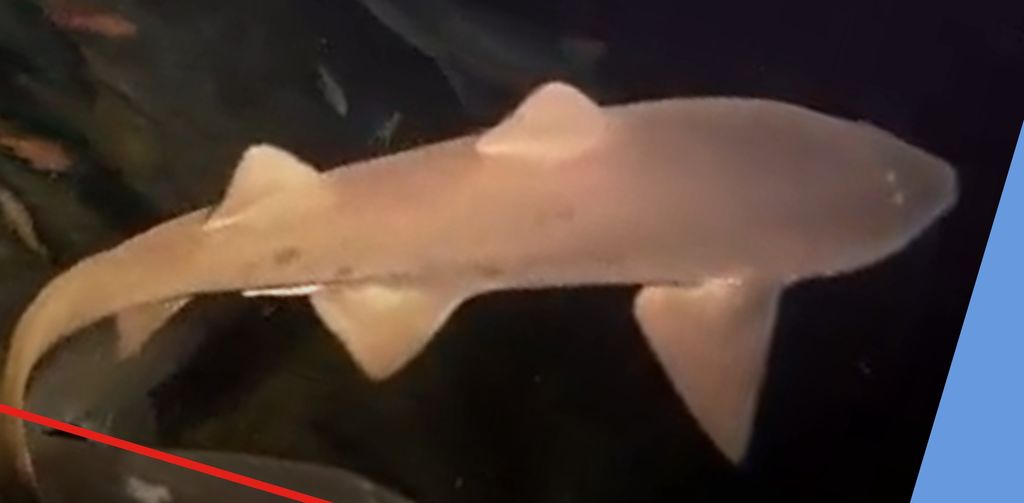 726f21b3-9ebe-4a36-a7de-affa69fc478d