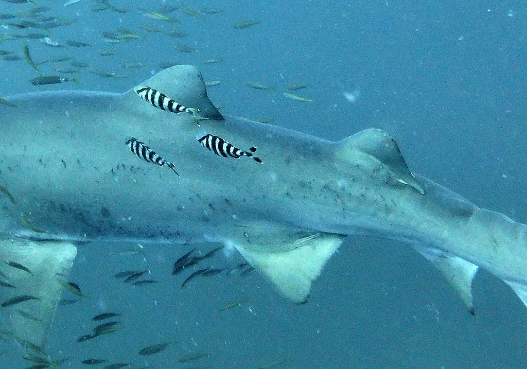 3548b608-4cb8-4fa8-babf-cf6569a88c69