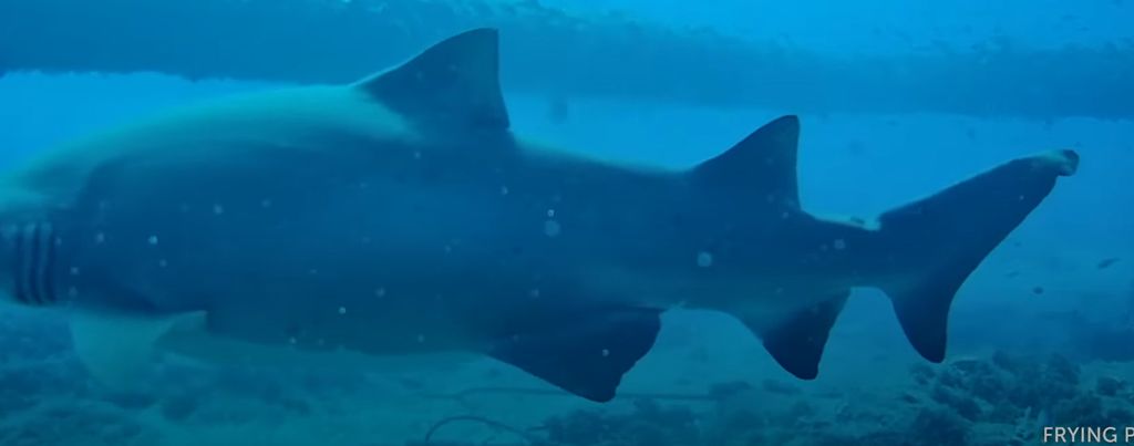 4e12189a-cb1d-463d-9aca-f2c627050ce0