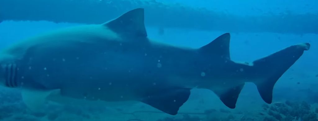 4e12189a-cb1d-463d-9aca-f2c627050ce0