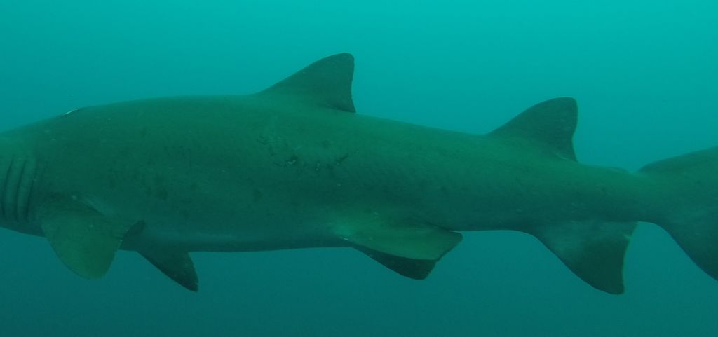 eace2aa8-4665-4e8e-b937-802c04a6117c