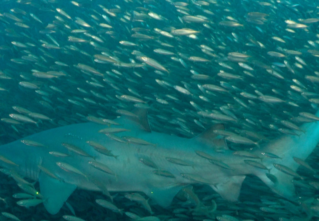 fba008da-742a-46df-b612-72d9cbf4493c