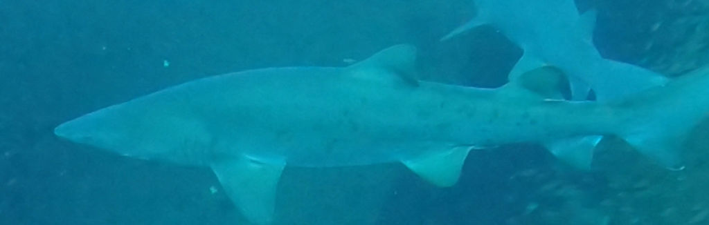 8ce3d572-2e8e-482f-bfe1-700a68c6c006