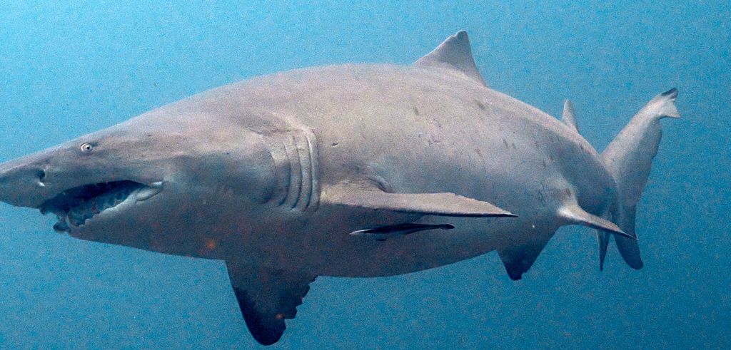 4ddd2e7f-1a49-4b76-bdcc-87edc1458000