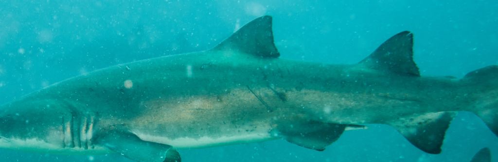 fb7ef6c9-6712-415c-bbd2-797412a05a16