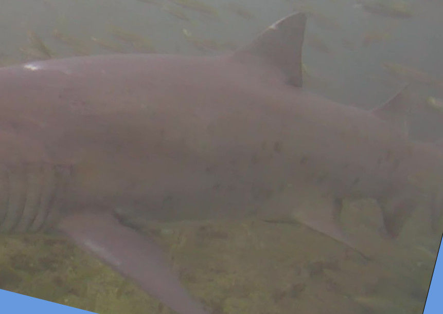 24a26327-4086-4316-bce6-28f35dbb064b