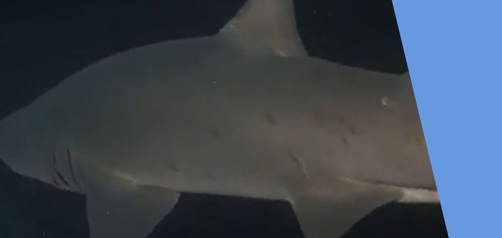 8097c497-7efa-4a3e-b507-180183a2d067