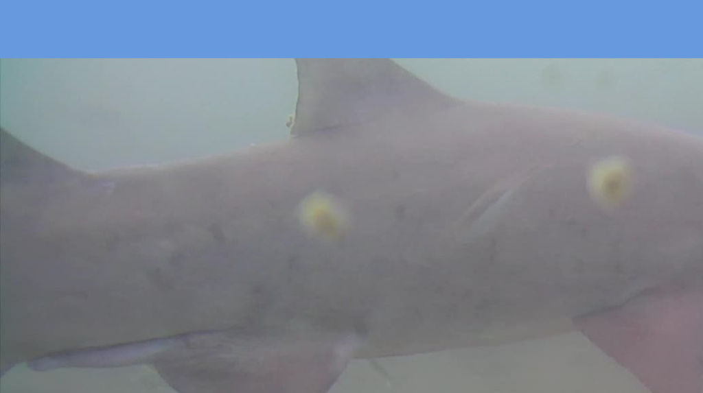 7a8db0b7-8300-443a-b837-a8d2a2b3b9e6